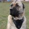 Caucasian Shepherd Harness | Dog Training Harness K9