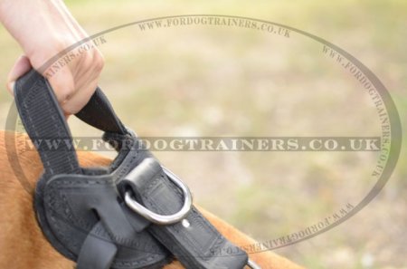 Dog Training Staffy Harness, Genuine Leather