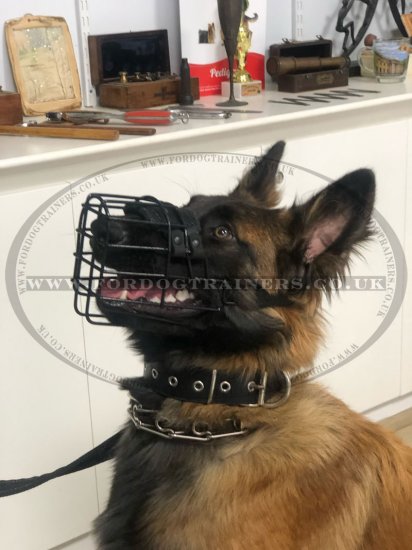 Black Rubber Covered Wire Dog Muzzle for Winter & Summer, Allows Drinking