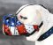 American Bulldog Muzzle American Pride | Dog Training Muzzle UK
