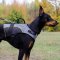 Warm Dog Coat for Walking in Cold and Support of Your Dog