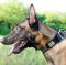 Belgian Shepherd Dog Collar with Plates | Nylon Dog Collar