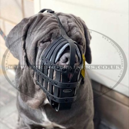 Strong and Soft Leather Dog Muzzle UK Bestseller