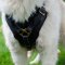 Husky Dogs Harnesses for Sale | Siberian Husky Dog Harness