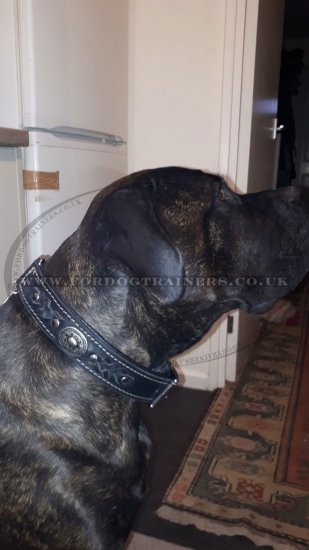 Leather Collar with Chrome Plated Vintage Medals and Hardware