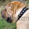 Original Design Nylon Dog Collar with Pyramids for Shar Pei Dogs
