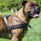 Leather Dog Pulling Harness for Boxer Dogs