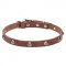 New Studded Dog Collar with Engraved Leaves and Flowers