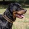 Leather Dog Collars for Large Dogs Style and Reliable Control