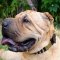 Gorgeous Dog Collar Designs for Shar Pei Dog Perfect Style
