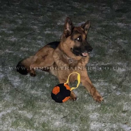 "Soccer Ball" Dog Biting Pad for IGP Training and Games