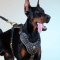 Luxury Studded Dog Harness for Doberman Nappa Padded