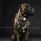 Cane Corso Training Dog Leather Muzzle