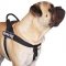 Bullmastiff Training Harness | Dog Training Harness, Anti-Pull