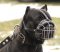 Padded Cane Corso Muzzle for Mastiff Breeds Wire Basket