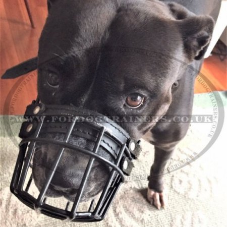 Black Rubber Covered Wire Dog Muzzle for Winter & Summer, Allows Drinking
