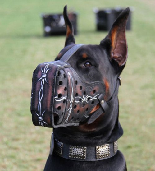 Doberman Muzzle Hand Painted Leather | Agitation Dog Muzzle UK - Click Image to Close