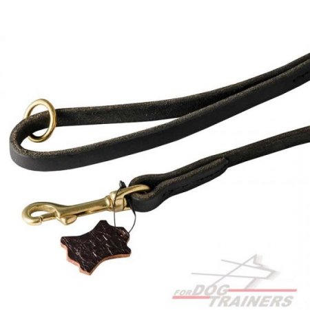 Leather Dog Lead the Best Choice for Daily Dog Walking 0.5 in / 13 mm Wide