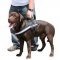 Harness for Labrador | Reflective Dog Harness with Sigh Patches