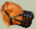 Leather Muzzle with Super Ventilation for Staffy, Bestseller!