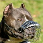Wire Dog Muzzle UK Bestseller | Pitbull Muzzles UK