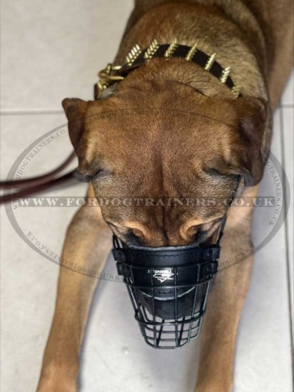 Large Dog Muzzle for Cane Corso Muzzle Size Rubber Coated Any-Weather