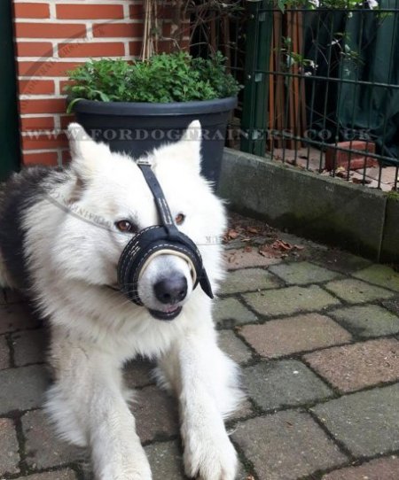 Soft Leather Muzzle for Dogs to Stop Barking Adjustable Loop