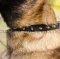 Collars for Dogs with Spiked Design | Belgian Malinois Collars