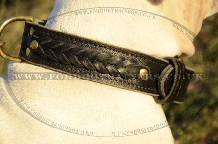 American Bulldog Collars UK Braided Leather Design