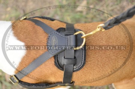 Padded Leather Dog Harness for Amstaff Training, Tracking, Walking & Sports
