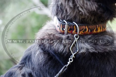 Large Leather Dog Collar for Strong Dog Control