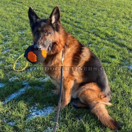 "Soccer Ball" Dog Biting Pad for IGP Training and Games