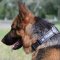 The Best German Shepherd K9 Collar with Sign Patches