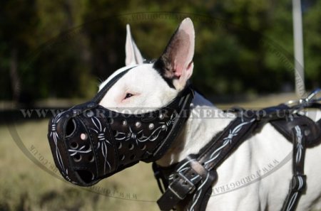 English Bull Terrier Dog Training Harness "Barbed Wire" Design
