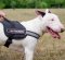 Reflective Dog Harness for English Bull Terrier with Handle