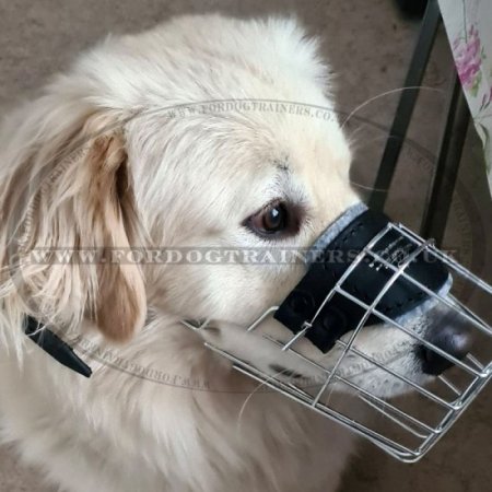 Breathable Dog Muzzle for Golden Retriever That Allows Drinking