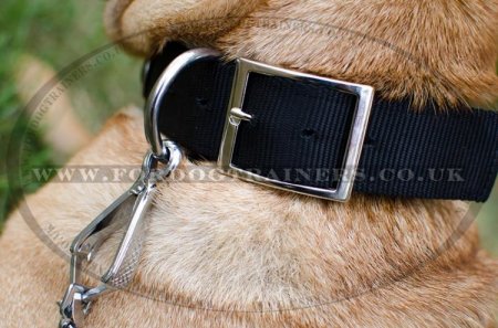 Doberman Collar for Dogs Style | Nylon Dog Collar with Buckle