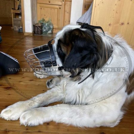 Large Wire Dog Muzzle for Big Dog Breeds UK Bestseller