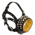 Padded Royal Nappa Leather Dog Muzzle with Studs
