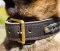 Braided Dog Collar for Belgian Shepherd | Strong Dog Collar 2Ply