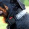 Rottweiler Dog Training Collar | Nylon Dog Collar for Rottweiler