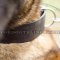 Wide Dog Collar for Belgian Shepherd | Wide Leather Dog Collar