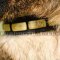 Elegant Leather Dog Collar for Belgian Shepherd Malinois