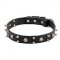 Top Quality Designer Dog Collar with Skulls and Spikes