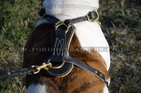 American Bulldog Harness with Studs | Luxury Dog Harness Padded