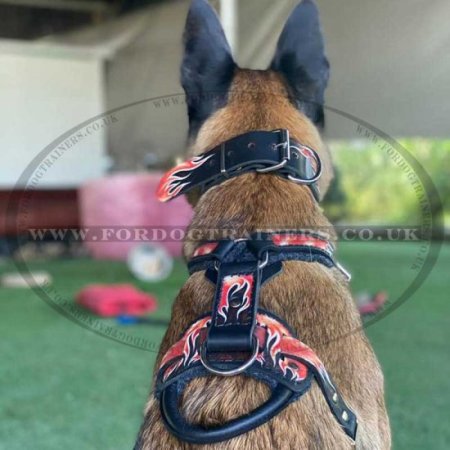 Hand Painted Designer Dog Harness for Large Dog in Flame Style