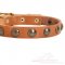 Puppy Dog Collar | Small Dog Collar with Brass Round Studs