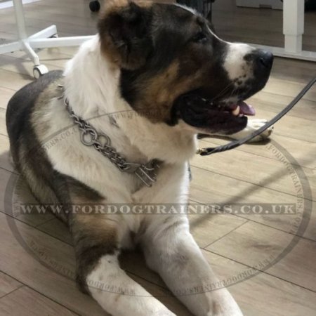 Dog Training Collar Herm Sprenger Chrome Plated 3.9 mm