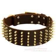 3 in Wide Dog Collars With Brass Fitting