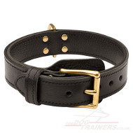 Agitation dog collar, strong 2 ply leather, TOP Quality!
